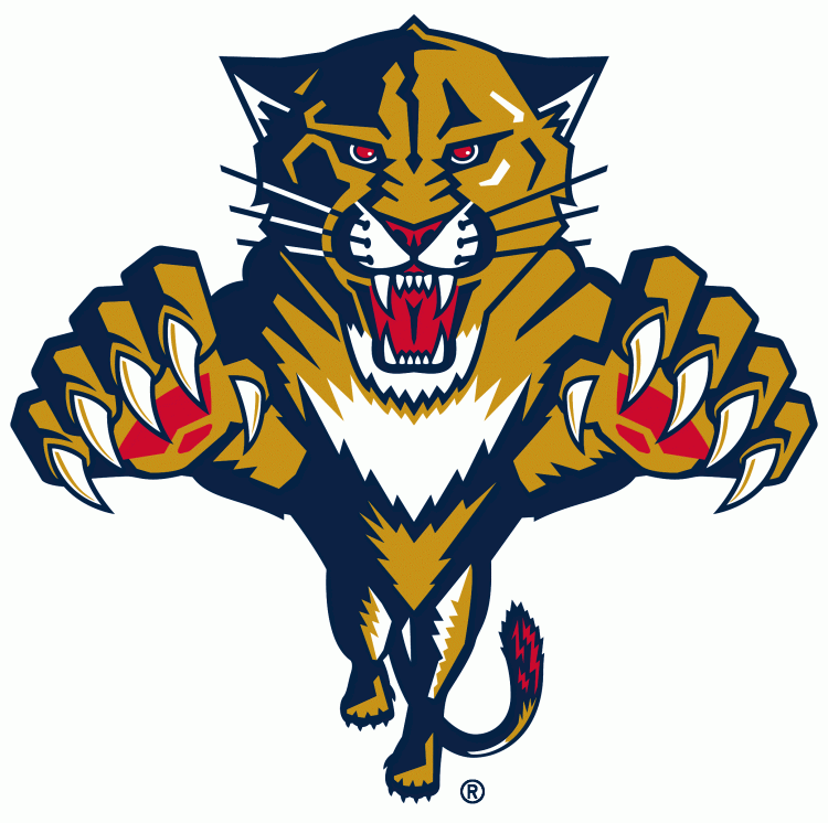 Florida Panthers1999-2016 Primary Logo iron on heat transfer